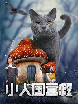 电视连续剧惊弦免费观看