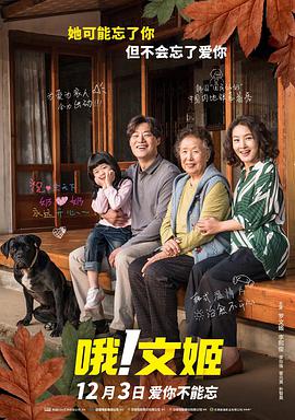 美女又黄又免费