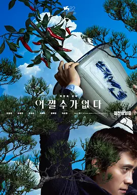 姐妹们的叛乱