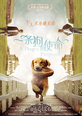 年轻的女性主导2