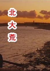 天天操导航