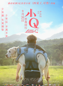 久久久久亚洲精品美女