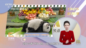 一个成年人的骗局